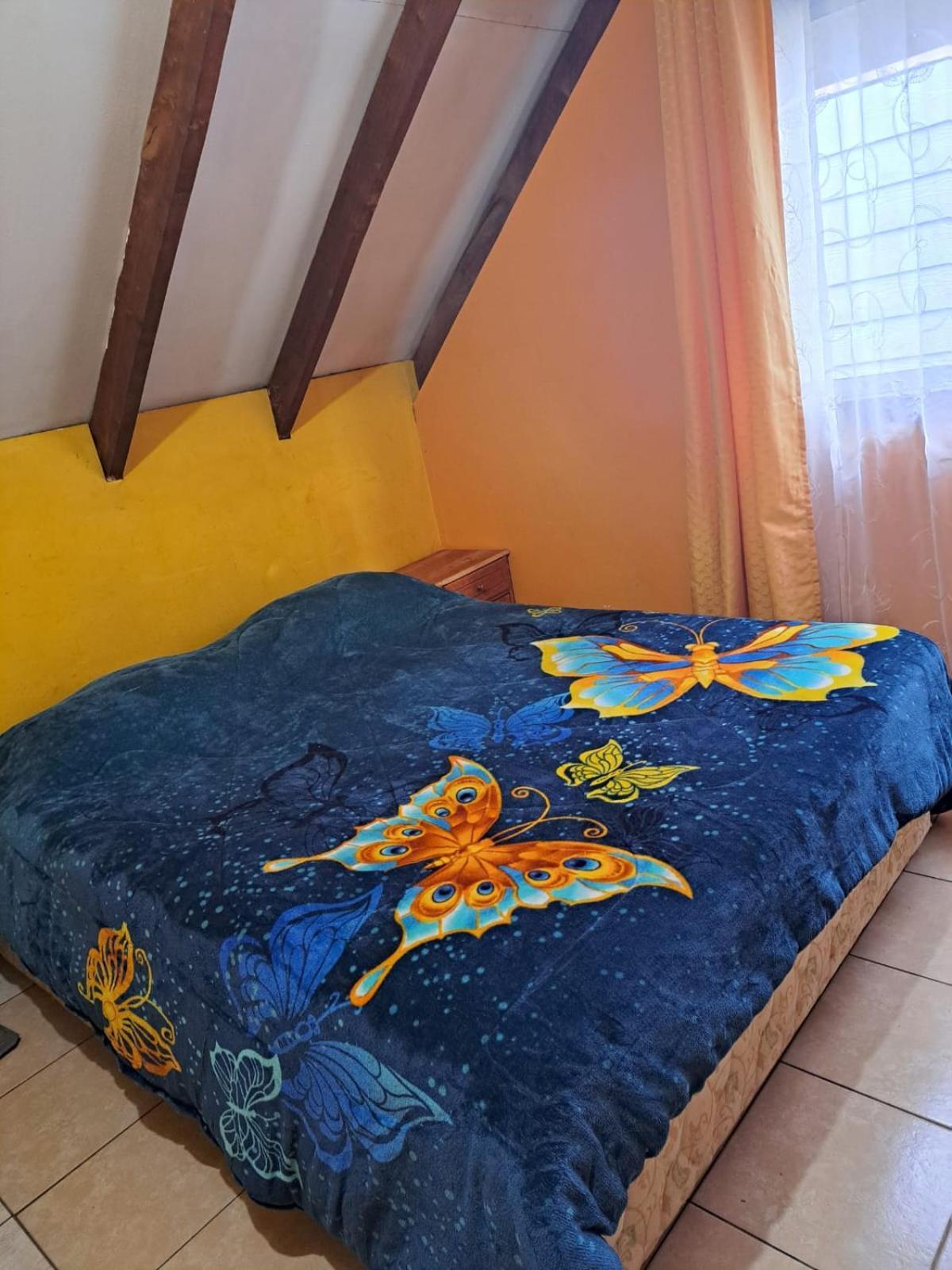 Apartamento Araucarias